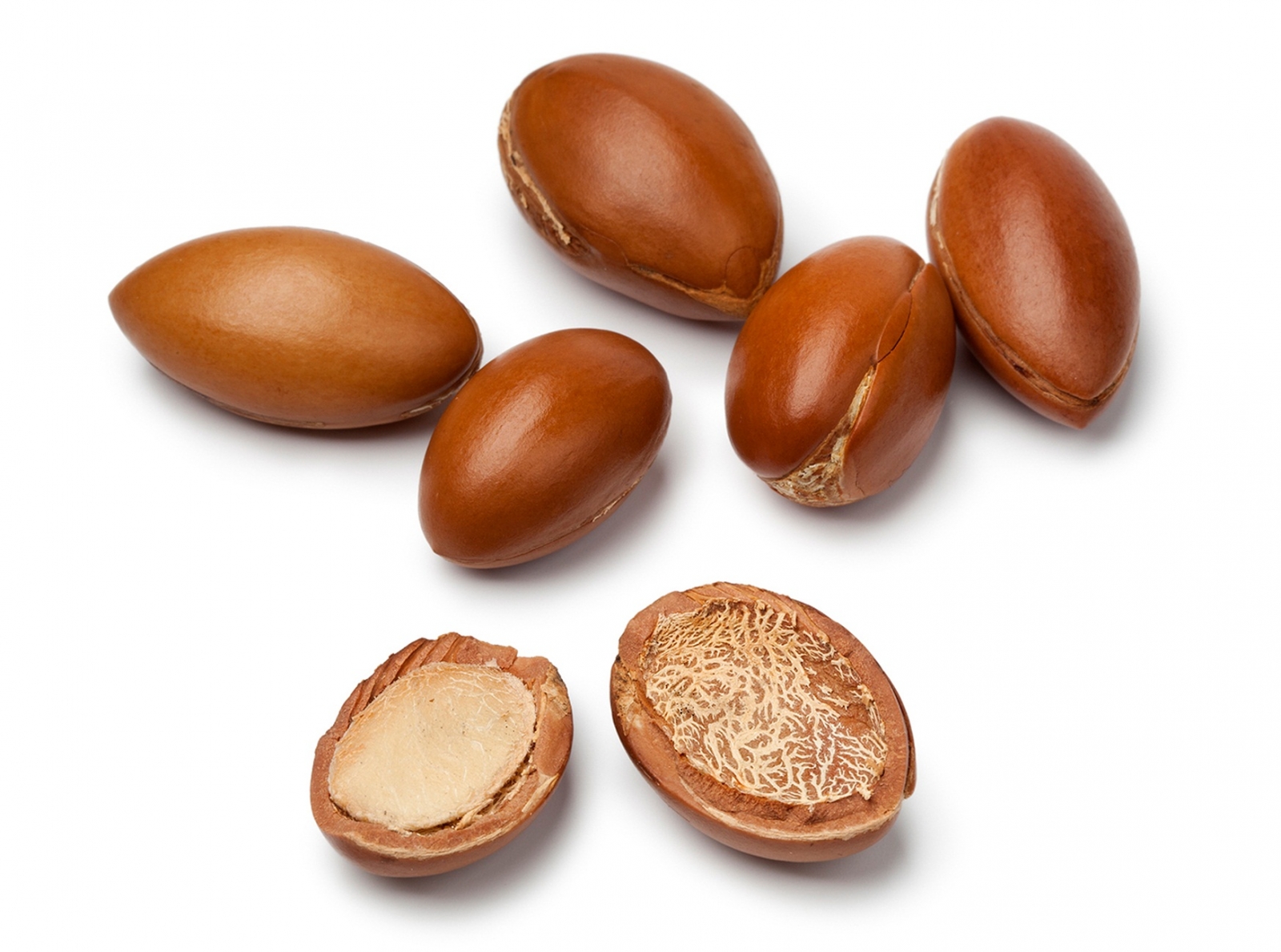 dầu argan oil dưỡng tóc ấn độ